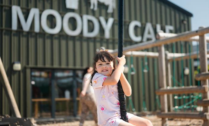 Moody Calf Zipline